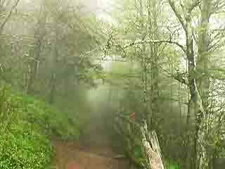 صور Appalachian Trail سياحة